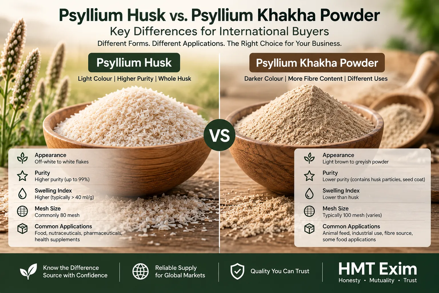 Psyllium Husk and finely processed Psyllium powder shown side by side for a B2B product comparison.